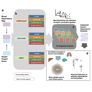 Figure from the paper showing how the datasets from the Broad and Sanger Institutes were integrated